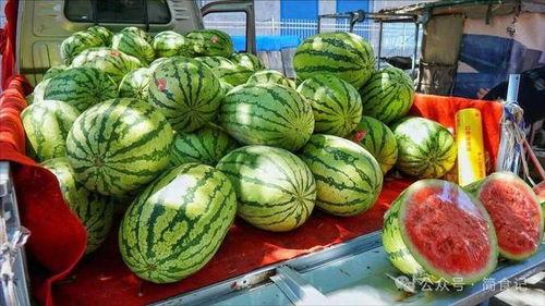 无锡网红吃瓜事件真相 第2张 无锡网红吃瓜事件真相 第2张