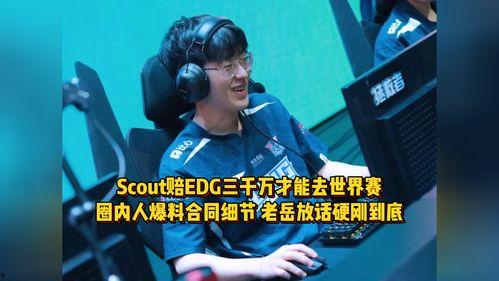 圈内爆料edg,揭秘战队背后的故事与挑战