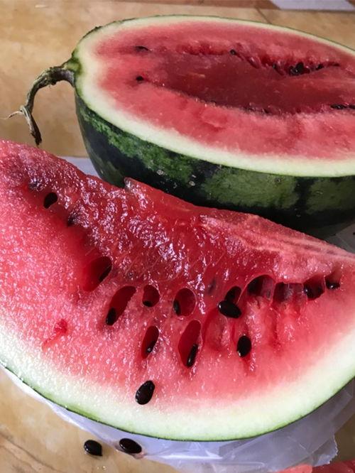 桑植新瓜最新爆料,揭秘瓜界新宠儿的神秘面纱